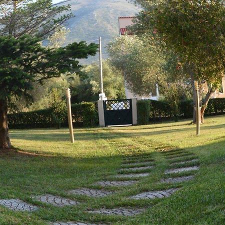 Apartament Sunny Garden Plataria Zewnętrze zdjęcie