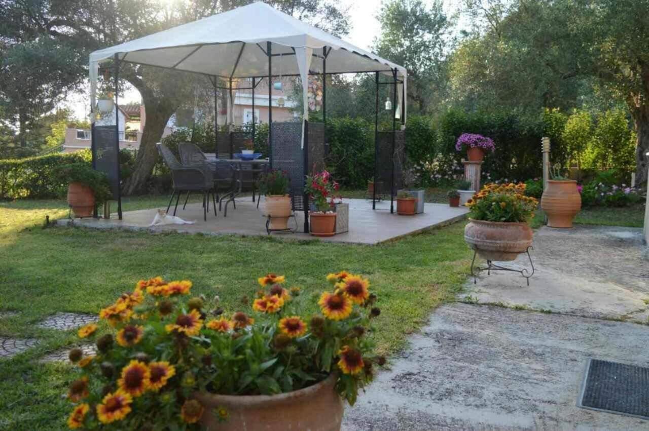 Apartament Sunny Garden Plataria Zewnętrze zdjęcie