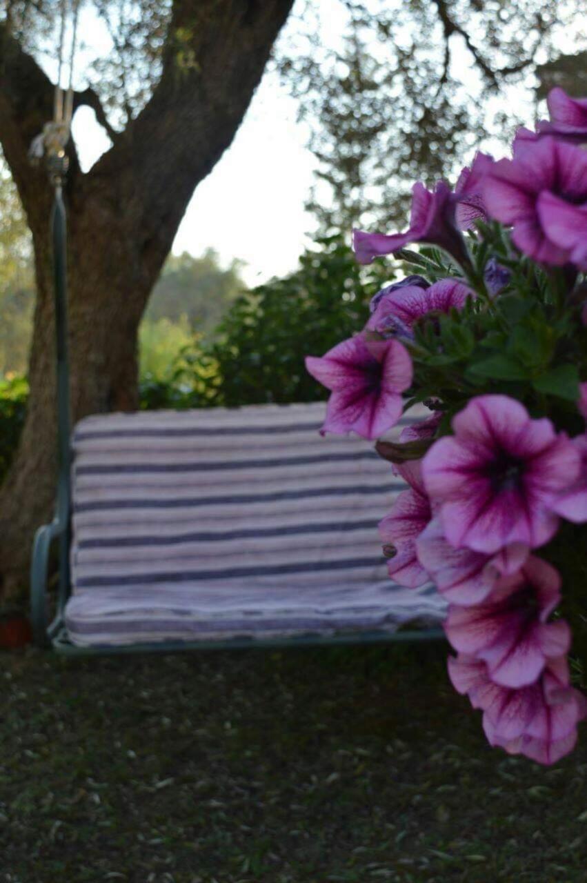 Apartament Sunny Garden Plataria Zewnętrze zdjęcie