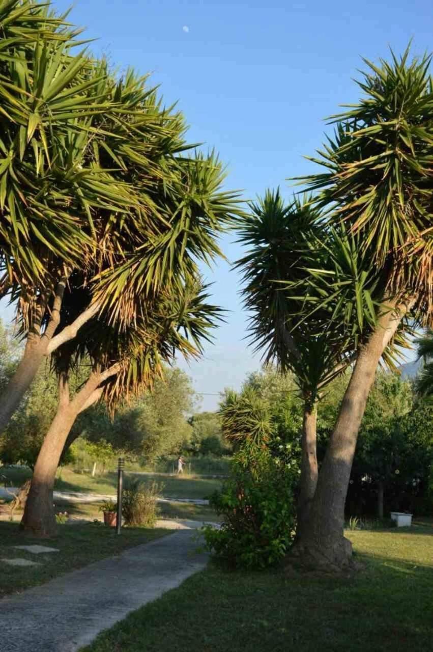 Apartament Sunny Garden Plataria Zewnętrze zdjęcie